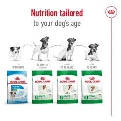 Royal Canin Dog Food Adult Mini -Pet Supplies Sales royal canin dog food adult minikellyville pets 219689