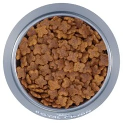 Royal Canin Dog Food Adult Mini -Pet Supplies Sales royal canin dog food adult minikellyville pets 254349