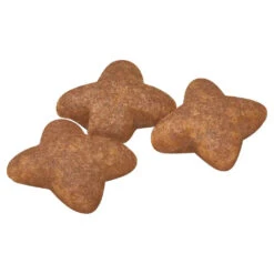 Royal Canin Dog Food Adult Mini -Pet Supplies Sales royal canin dog food adult minikellyville pets 633592