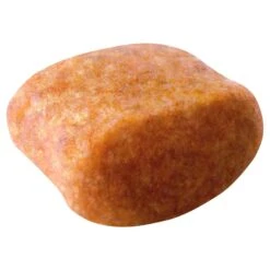 Royal Canin Dog Food Adult Poodle -Pet Supplies Sales royal canin dog food adult poodlekellyville pets 250721