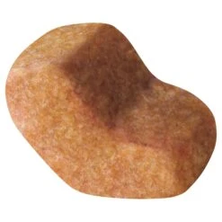 Royal Canin Dog Food Adult Shih Tzu 7 Royal Canin Dog Food Adult Shih Tzu -Pet Supplies Sales royal canin dog food adult shih tzukellyville pets 854920