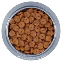 Royal Canin Dog Food Ageing 12+ Mini -Pet Supplies Sales royal canin dog food ageing 12 minikellyville pets 480376