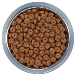 Royal Canin Dog Food Ageing 8+ Maxi -Pet Supplies Sales royal canin dog food ageing 8 maxikellyville pets 284448