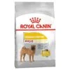 Royal Canin Dog Food Dermacomfort Medium 2 Royal Canin Dog Food Dermacomfort Medium -Pet Supplies Sales royal canin dog food dermacomfort mediumkellyville pets 641259