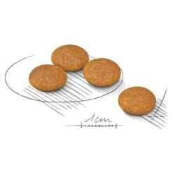 Royal Canin Dog Food Dermacomfort Mini -Pet Supplies Sales royal canin dog food dermacomfort minikellyville pets 927255