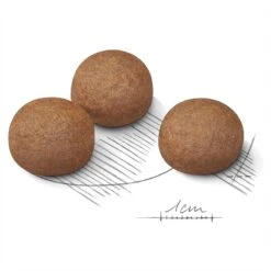 Royal Canin Dog Food Digestive Care Maxi -Pet Supplies Sales royal canin dog food digestive care maxikellyville pets 500665