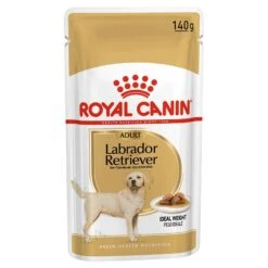 Royal Canin Dog Food Pouch Adult Labrador