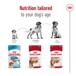 Royal Canin Dog Food Pouch Adult Medium 15 Royal Canin Dog Food Pouch Adult Medium -Pet Supplies Sales royal canin dog food pouch adult mediumkellyville pets 730270