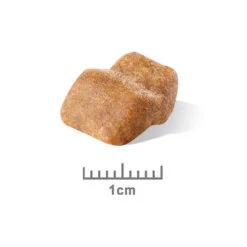 Royal Canin Dog Food Puppy Bulldog 7 Royal Canin Dog Food Puppy Bulldog -Pet Supplies Sales royal canin dog food puppy bulldogkellyville pets 926474