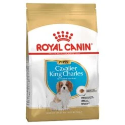 Royal Canin Dog Food Puppy Cavalier King Charles