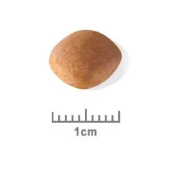 Royal Canin Dog Food Puppy Cavalier King Charles -Pet Supplies Sales royal canin dog food puppy cavalier king charleskellyville pets 586740