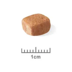 Royal Canin Dog Food Puppy Dachshund -Pet Supplies Sales royal canin dog food puppy dachshundkellyville pets 996929