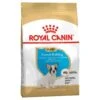 Royal Canin Dog Food Puppy French Bulldog -Pet Supplies Sales royal canin dog food puppy french bulldogkellyville pets 174571