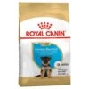 Royal Canin Dog Food Puppy German Shepherd 1 Royal Canin Dog Food Puppy German Shepherd -Pet Supplies Sales royal canin dog food puppy german shepherdkellyville pets 104205