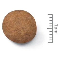 Royal Canin Dog Food Puppy Maxi -Pet Supplies Sales royal canin dog food puppy maxikellyville pets 124424