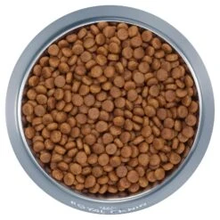 Royal Canin Dog Food Puppy Maxi -Pet Supplies Sales royal canin dog food puppy maxikellyville pets 709404