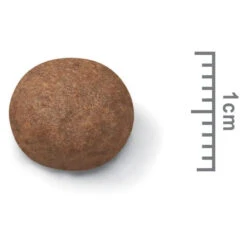 Royal Canin Dog Food Puppy Medium -Pet Supplies Sales royal canin dog food puppy mediumkellyville pets 581596