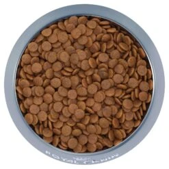 Royal Canin Dog Food Puppy Medium -Pet Supplies Sales royal canin dog food puppy mediumkellyville pets 747864