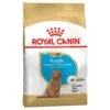 Royal Canin Dog Food Puppy Poodle -Pet Supplies Sales royal canin dog food puppy poodlekellyville pets 742423