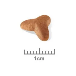 Royal Canin Dog Food Puppy Pug -Pet Supplies Sales royal canin dog food puppy pugkellyville pets 973855