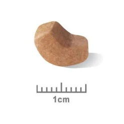 Royal Canin Dog Food Puppy Shih Tzu -Pet Supplies Sales royal canin dog food puppy shih tzukellyville pets 662012