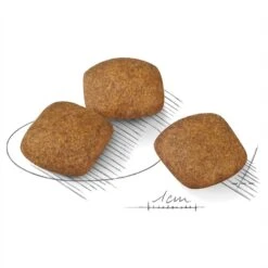 Royal Canin Dog Food Relax Care Medium -Pet Supplies Sales royal canin dog food relax care mediumkellyville pets 610096