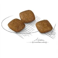 Royal Canin Dog Food Relax Care Mini -Pet Supplies Sales royal canin dog food relax care minikellyville pets 465009