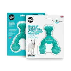 Tasty Bone Nylon Trio Peppermint Dog Toy