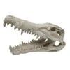 URS Ornament Crocodile Skull 1 URS Ornament Crocodile Skull -Pet Supplies Sales urs ornament crocodile skullkellyville pets 167579